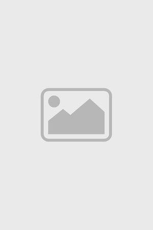 《太爷爷驾到：败家就有惊喜》宣传海报